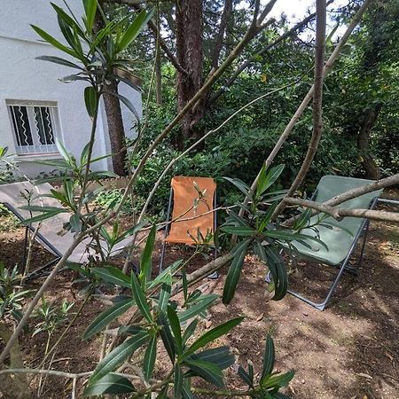 Maison Spacieuse Et Lumineuse 4 Personnes Lavilledieu  外观 照片