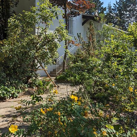 Maison Spacieuse Et Lumineuse 4 Personnes Lavilledieu  外观 照片