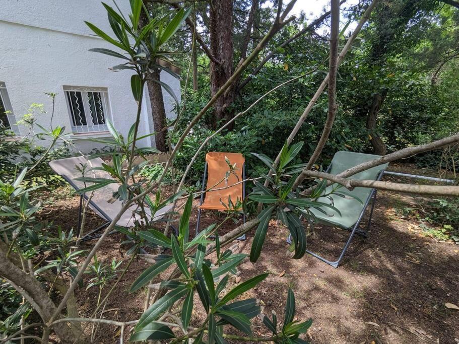 Maison Spacieuse Et Lumineuse 4 Personnes Lavilledieu  外观 照片